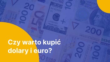 ​​​​​​​Czy warto kupić dolary i euro w 2024 roku?