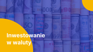 Jak i w jaką walutę aktywnie inwestować w 2025 roku? Praktyczny przewodnik i analiza, jaką walutę warto teraz kupić