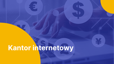 Jak działa kantor internetowy? Praktyczne wskazówki dla początkujących