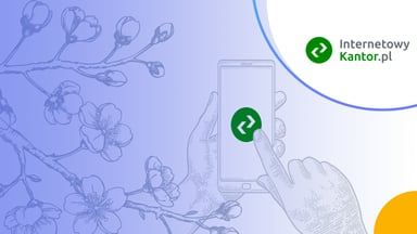 InternetowyKantor.pl - Opłaty, Recenzja, Opinie