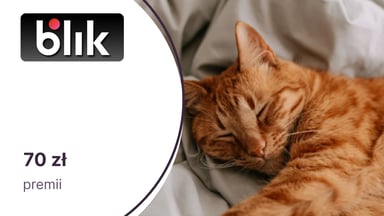 70 zł moneyback za skorzystanie z Blik Płacę Później na wyjatkowyprezent.pl dla klientów Banku Millennium i VeloBanku