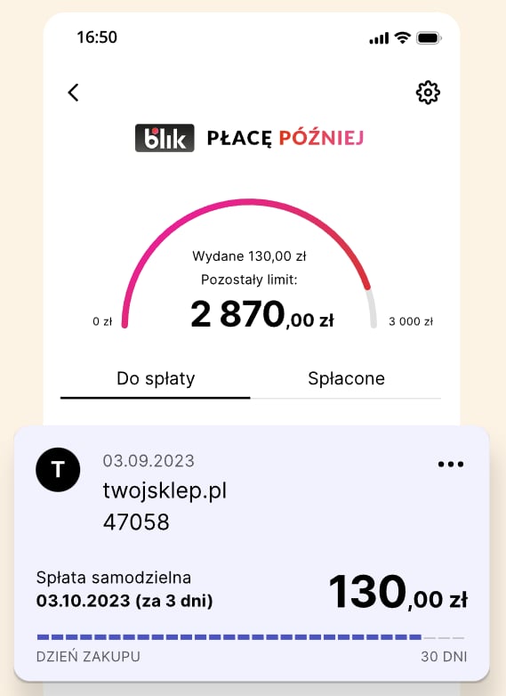 Szczegóły płatności Blik Płacę Później